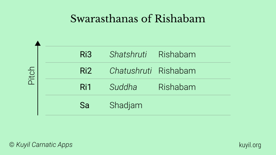 Carnatic Swaram Ri